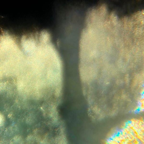 Florida Memory Scott James - Mobile Space Backgrounds for Desktop