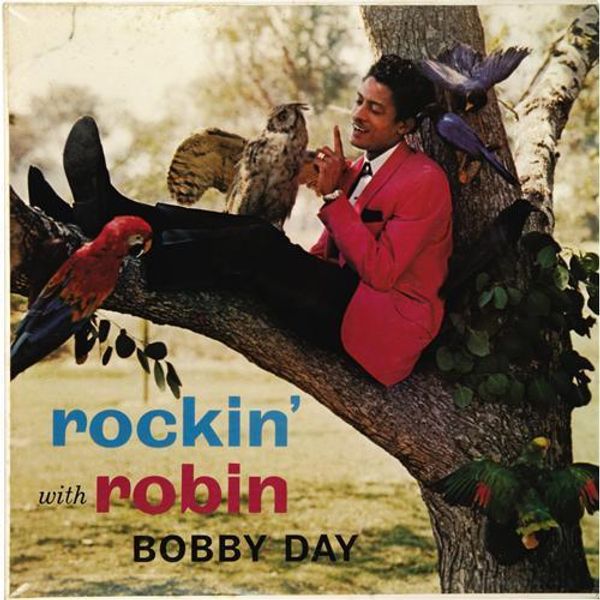 Rockin Robin Bobby Day Youtube - Premium Mountain Image Gallery - 8K