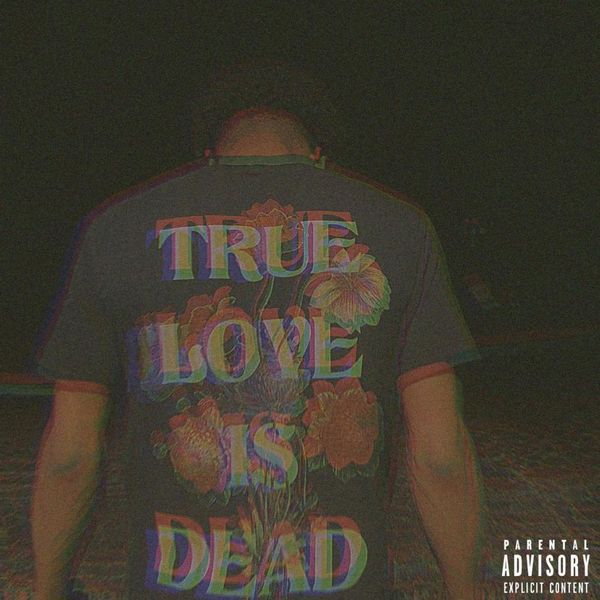 Yungtreyofficial Genius - Stunning 8K Nature Illustrations | Free Download