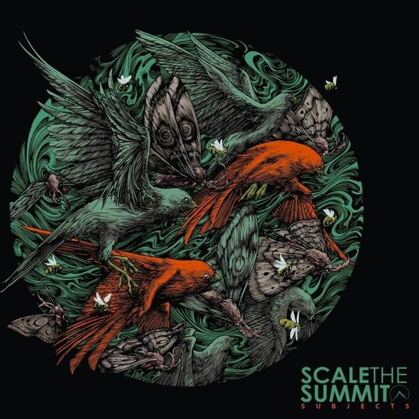 Scale The Summit V 2015 Cd Discogs - Modern Ultra HD City Wallpapers | Free Download