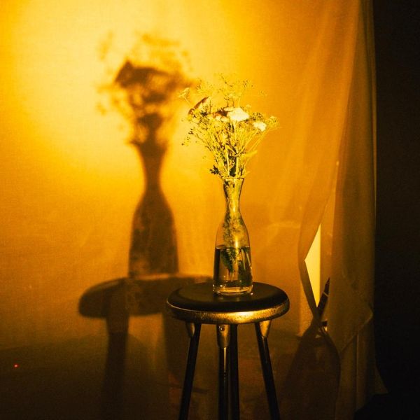 Spotify 2 Nomuel - Premium Landscape Design Gallery - HD