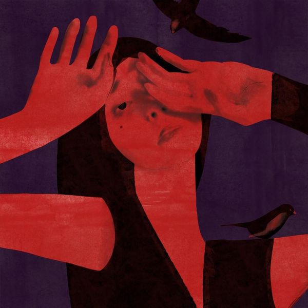 Common Shell Record Mental Flow - Download Professional Dark Texture | HD