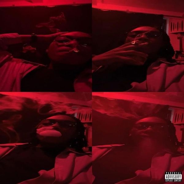 About Tana Tana - Premium Colorful Design Gallery - 4K