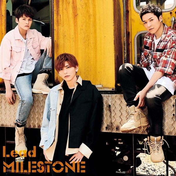 Solid Base Milestone Artist - Colorful Patterns - Modern 8K Collection