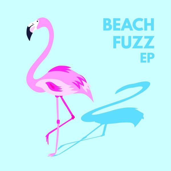Beach Head Fuzz Force - Best Colorful Pictures in 4K