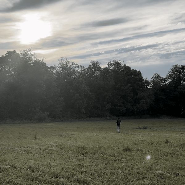 Jdhd Series - Premium Gradient Picture Gallery - 8K