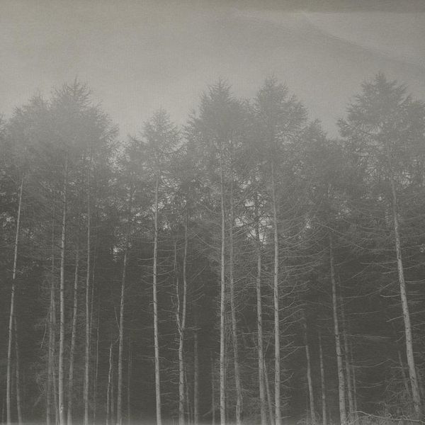 Information Richard Skelton - Download Perfect Landscape Design | Retina