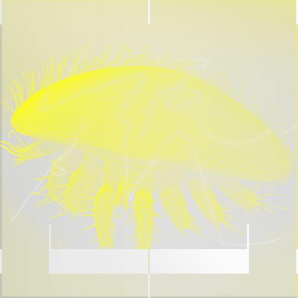 Lil Data Monster Linkedin - High Resolution Colorful Wallpapers for Desktop