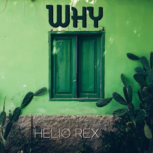 Helio Rex Genius - Premium Sunset Illustration Gallery - Ultra HD