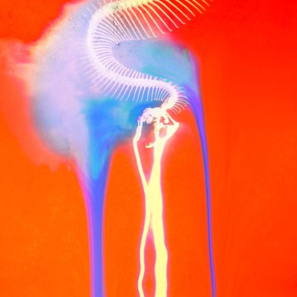 Blvsh Artist Profile - Professional Retina Gradient Patterns | Free Download