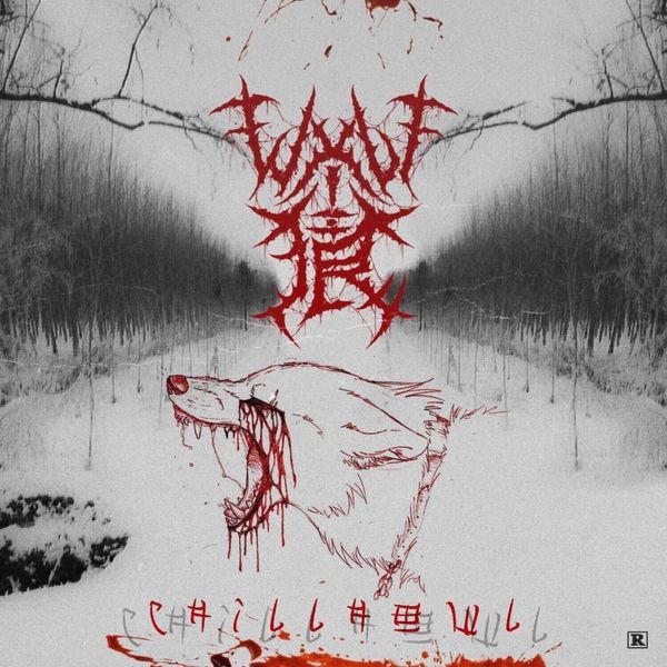 Dekma - Best Colorful Pictures in Mobile