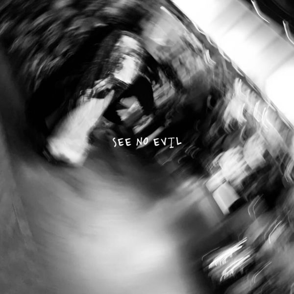 See No Evil Neatoshop - Download Perfect Nature Photo | 4K