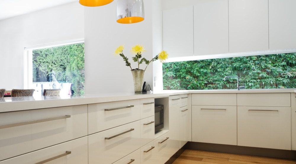 Plexiglass Backsplash | Houzz