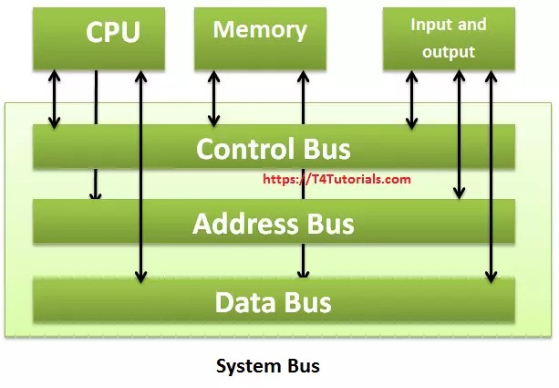 Data Bus, Address, Control, System, Expansion, ISA, PCI, AGP Bus |  T4Tutorials.com