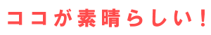 名古屋グルメブログでお店の素晴らしさを評価