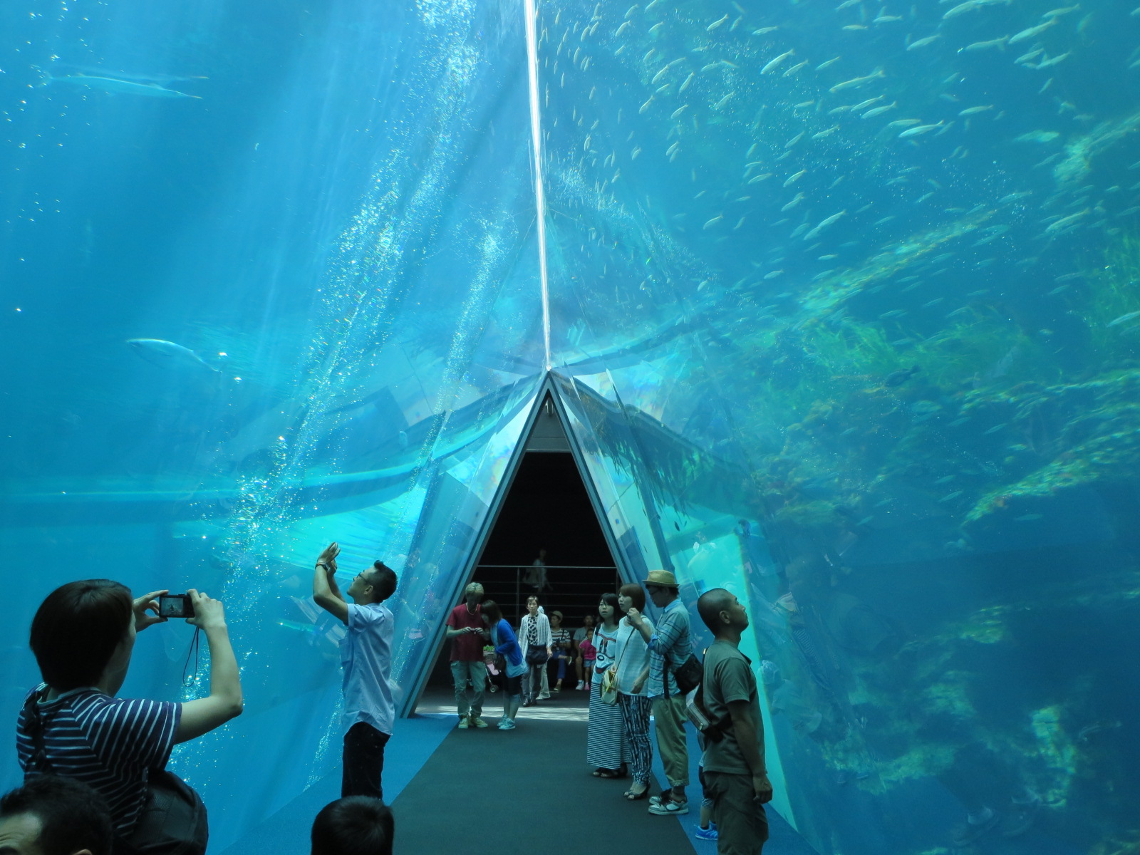【福島県】環境水族館～アクアマリンふくしま｜家族旅行・旅育のプロがおすすめ｜家族deたびいく