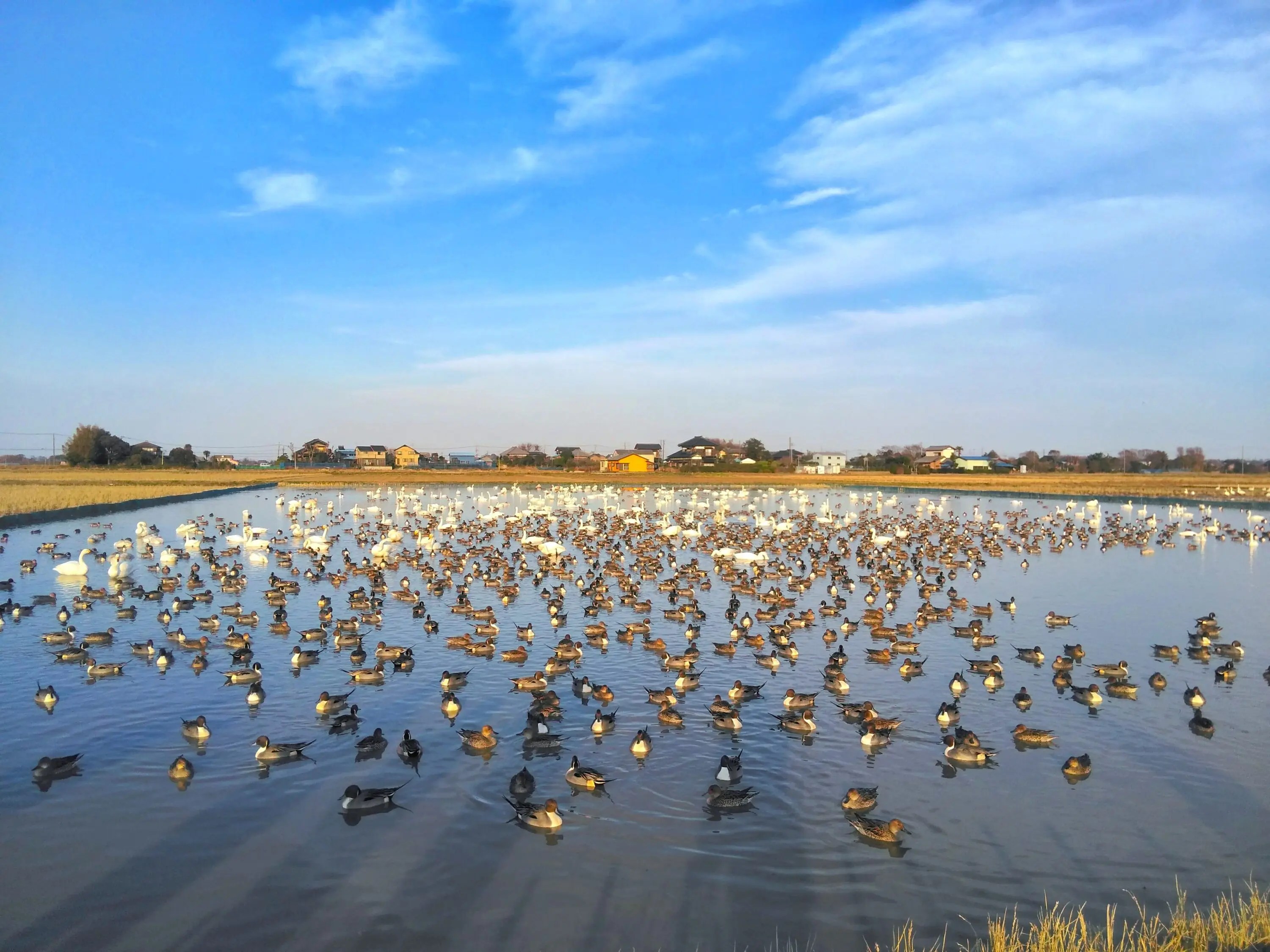 CH045201.jpg?fit=3000,2250&ssl=1