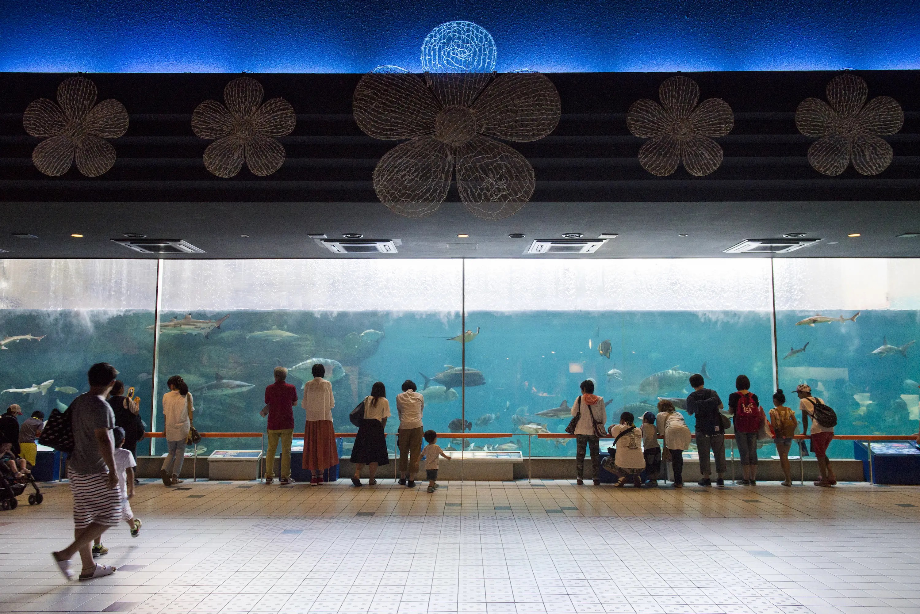 須磨海浜水族園 | ニッポン旅マガジン