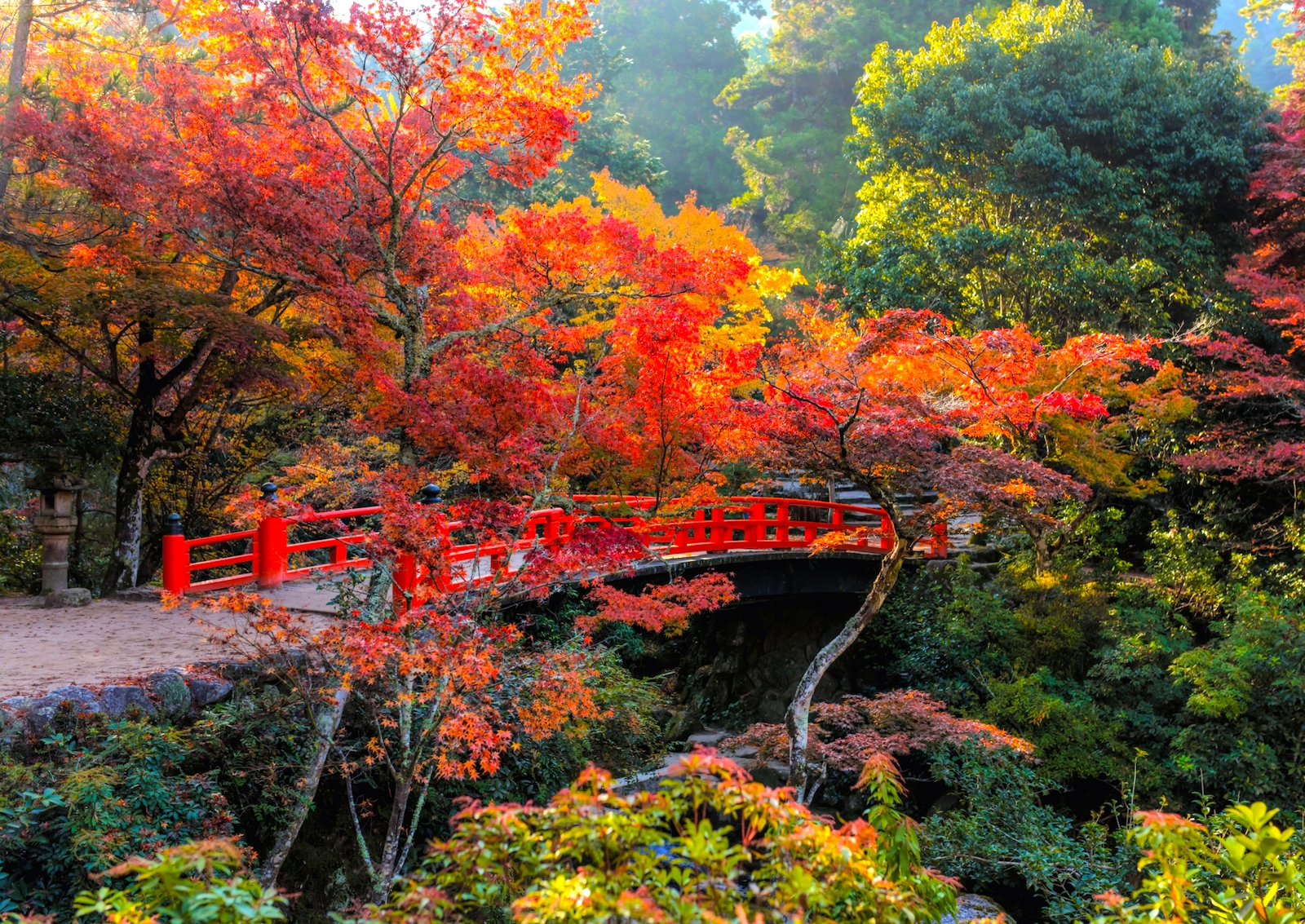 HM013601.jpg?fit=1600,1133&ssl=1