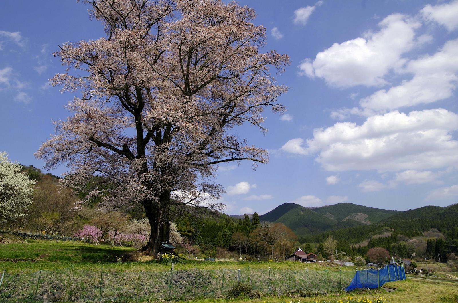 HM029801.jpg?resize=300,200&ssl=1