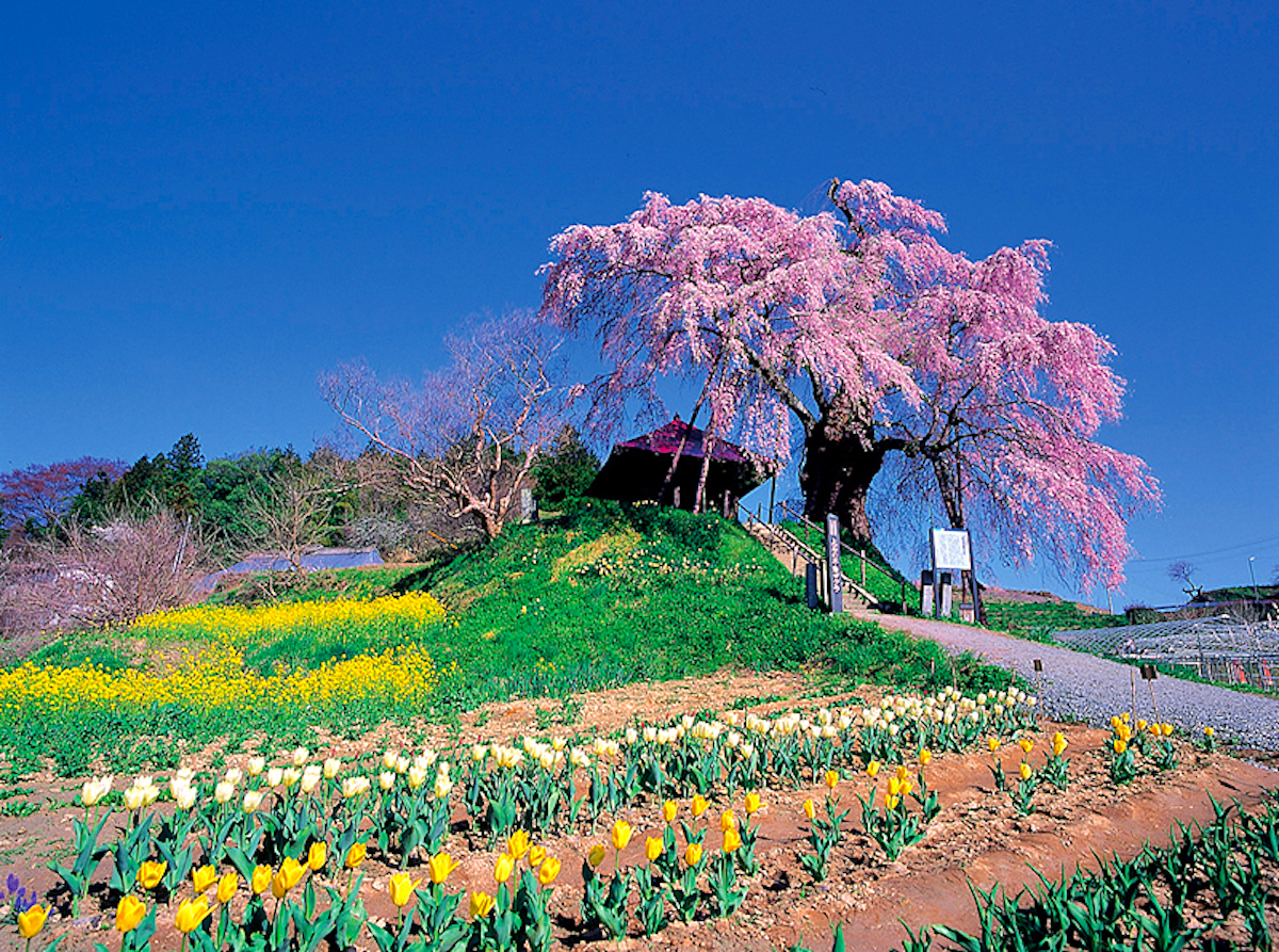 HS023401.jpg?fit=1200,893&ssl=1