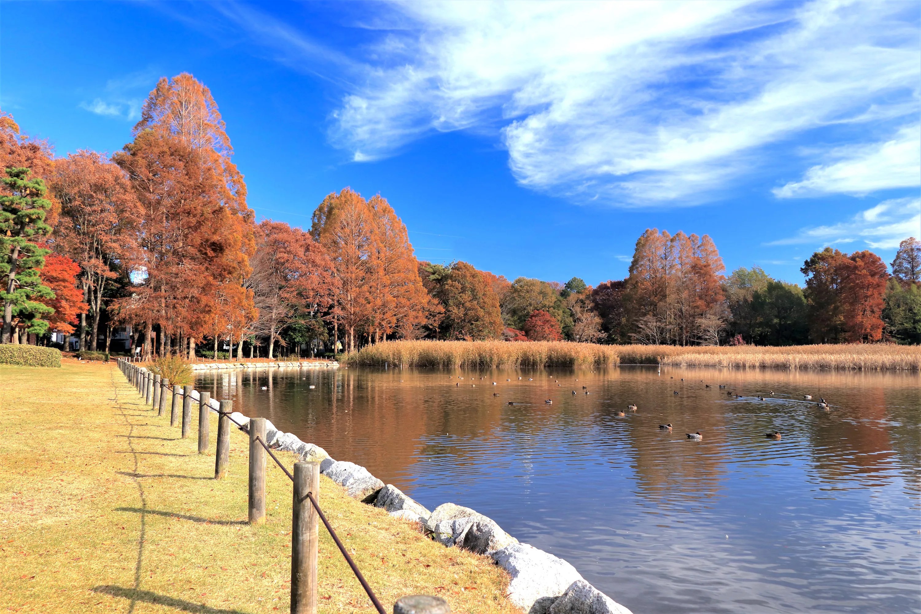 科学万博記念公園 | ニッポン旅マガジン