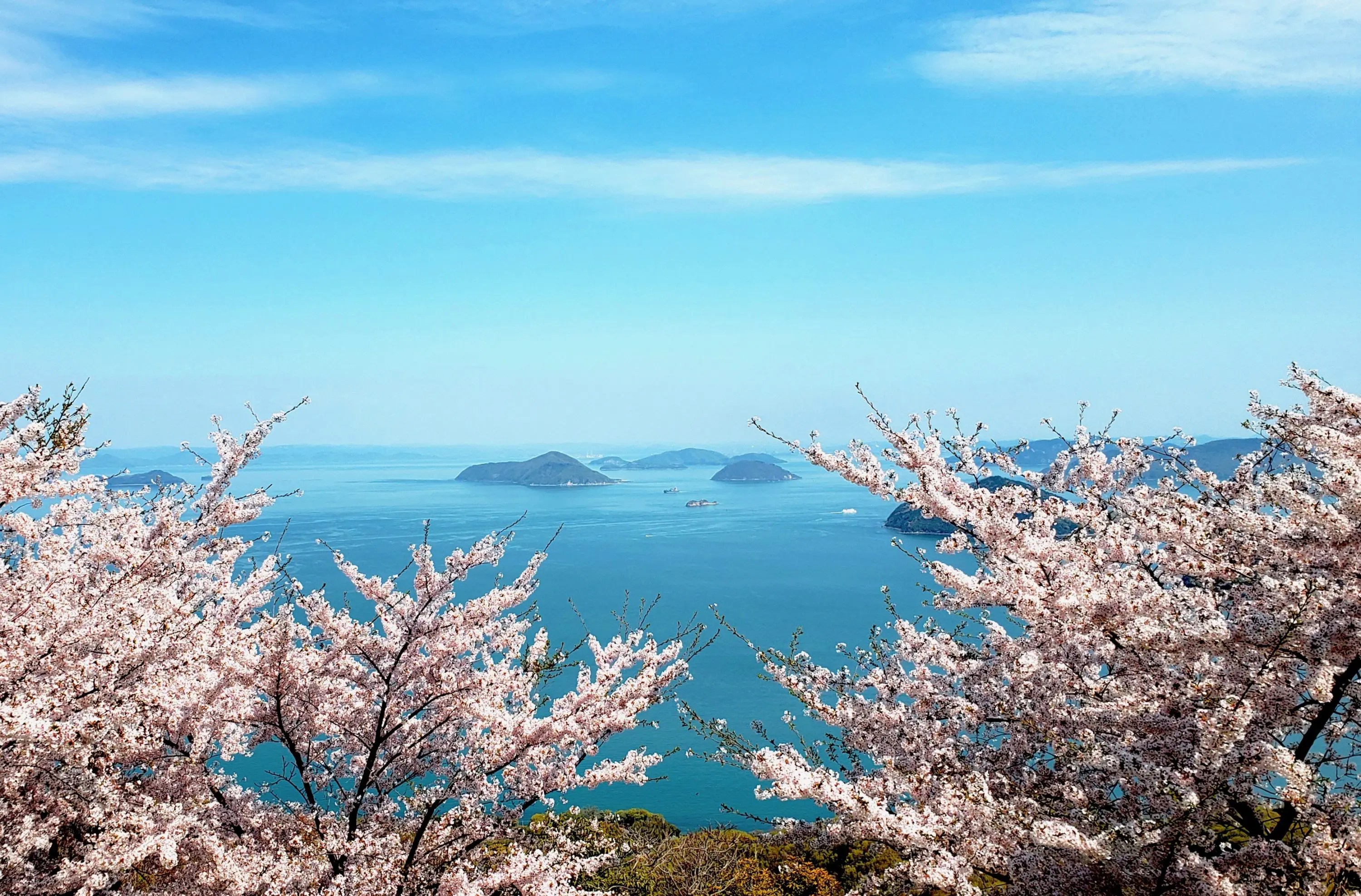 KA003401.jpg?fit=3000,1976&ssl=1