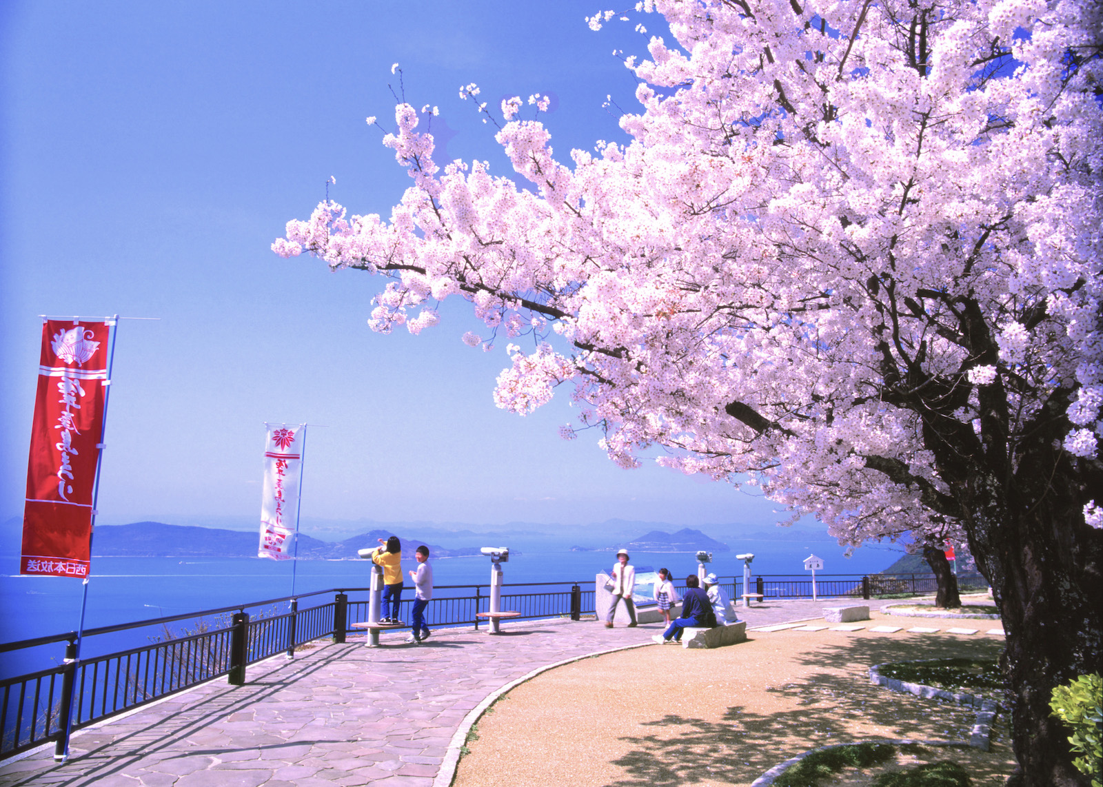 KA012601.jpg?fit=1600,1142&ssl=1