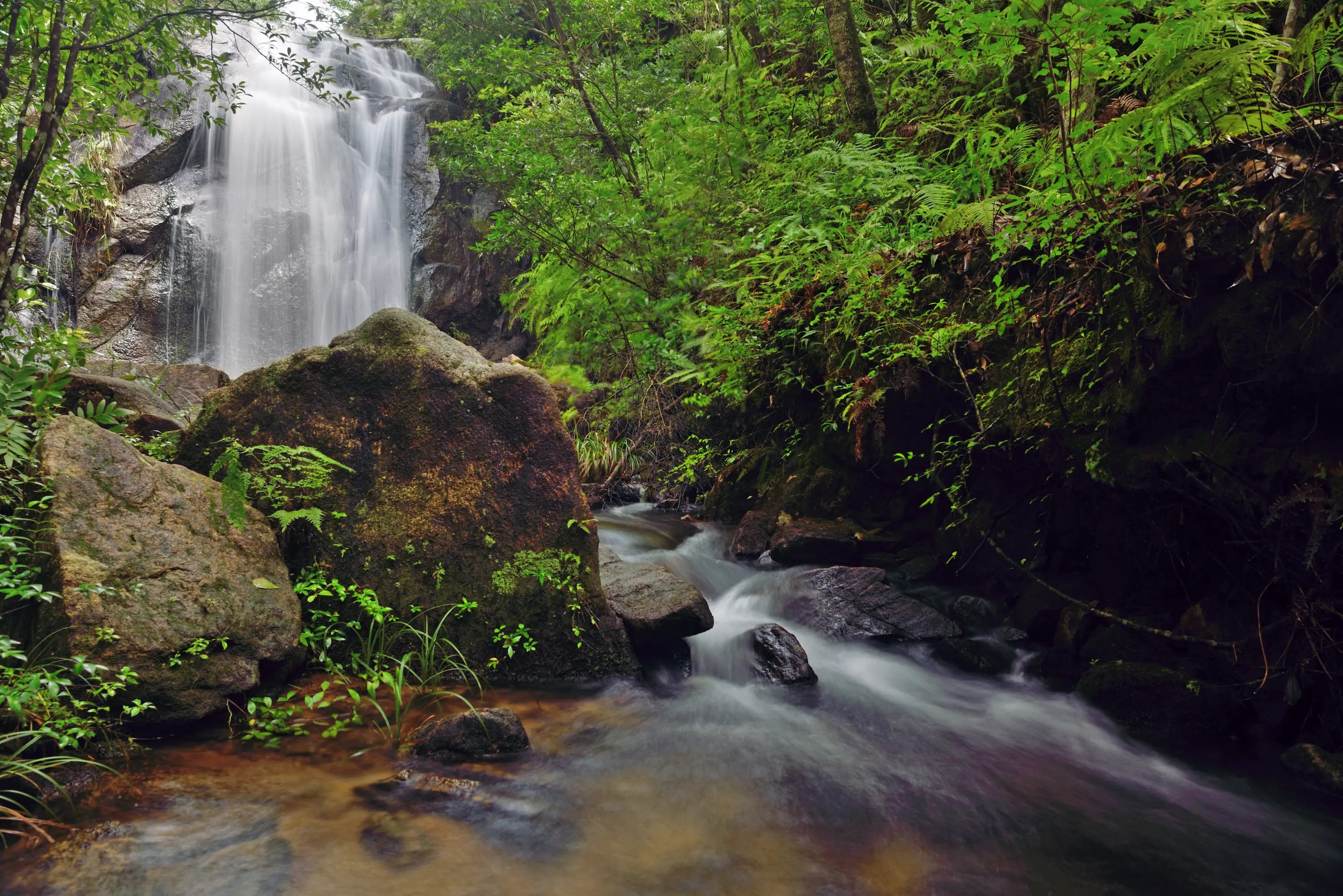 KU030201.jpg?fit=3000,2003&ssl=1