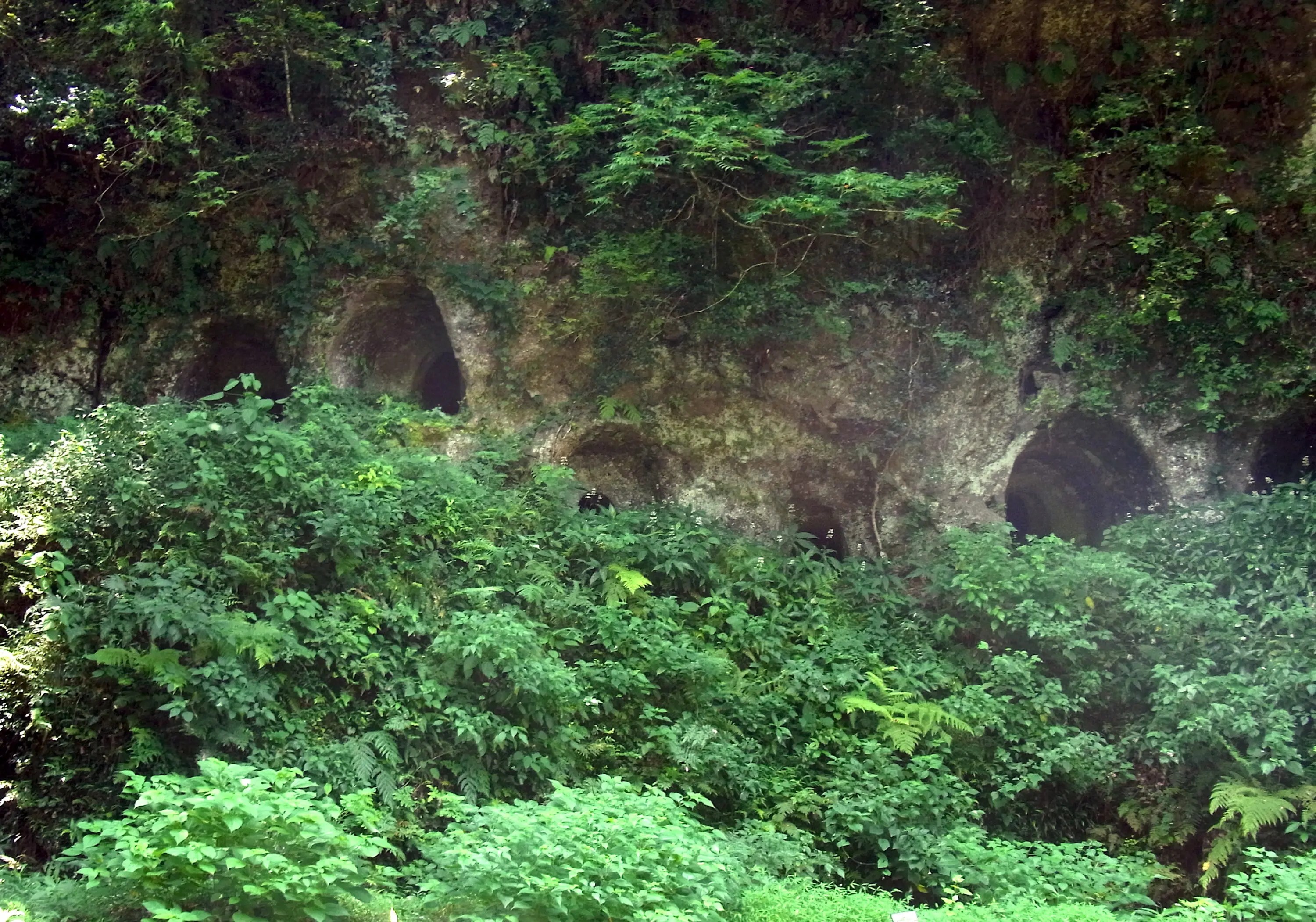 岩原横穴墓群 | ニッポン旅マガジン