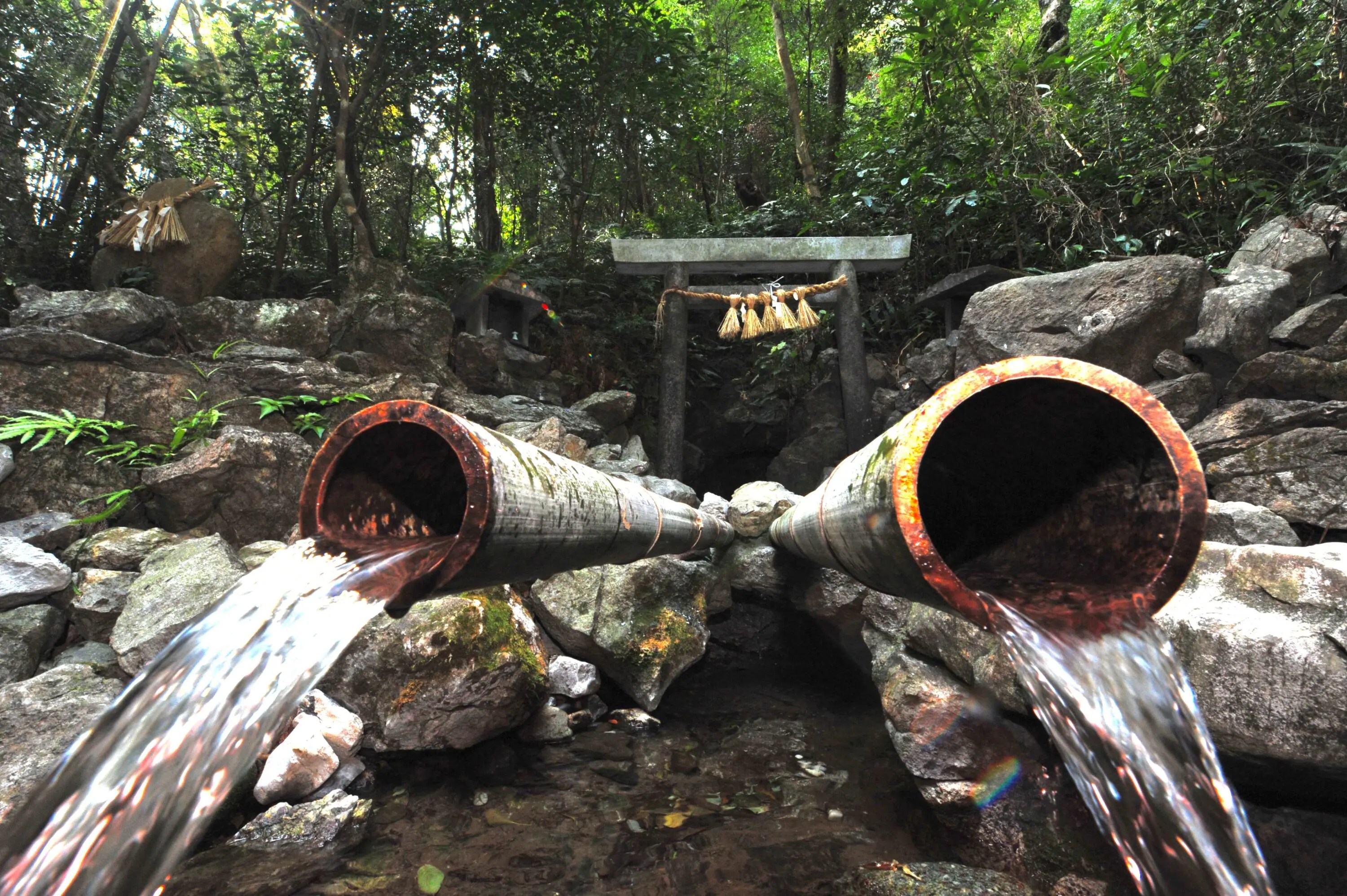 MIMIA 水の秘境 18点 MIMIA 水の秘境 18点