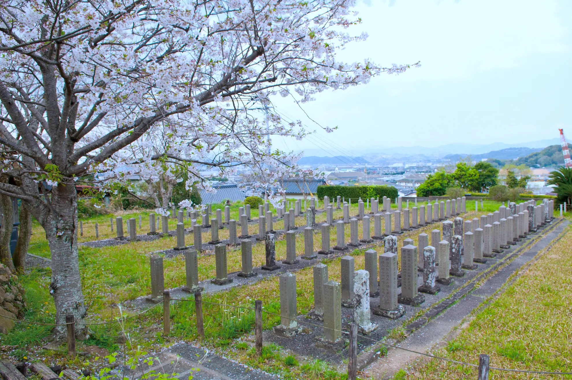 西南の役細島官軍墓地 | ニッポン旅マガジン