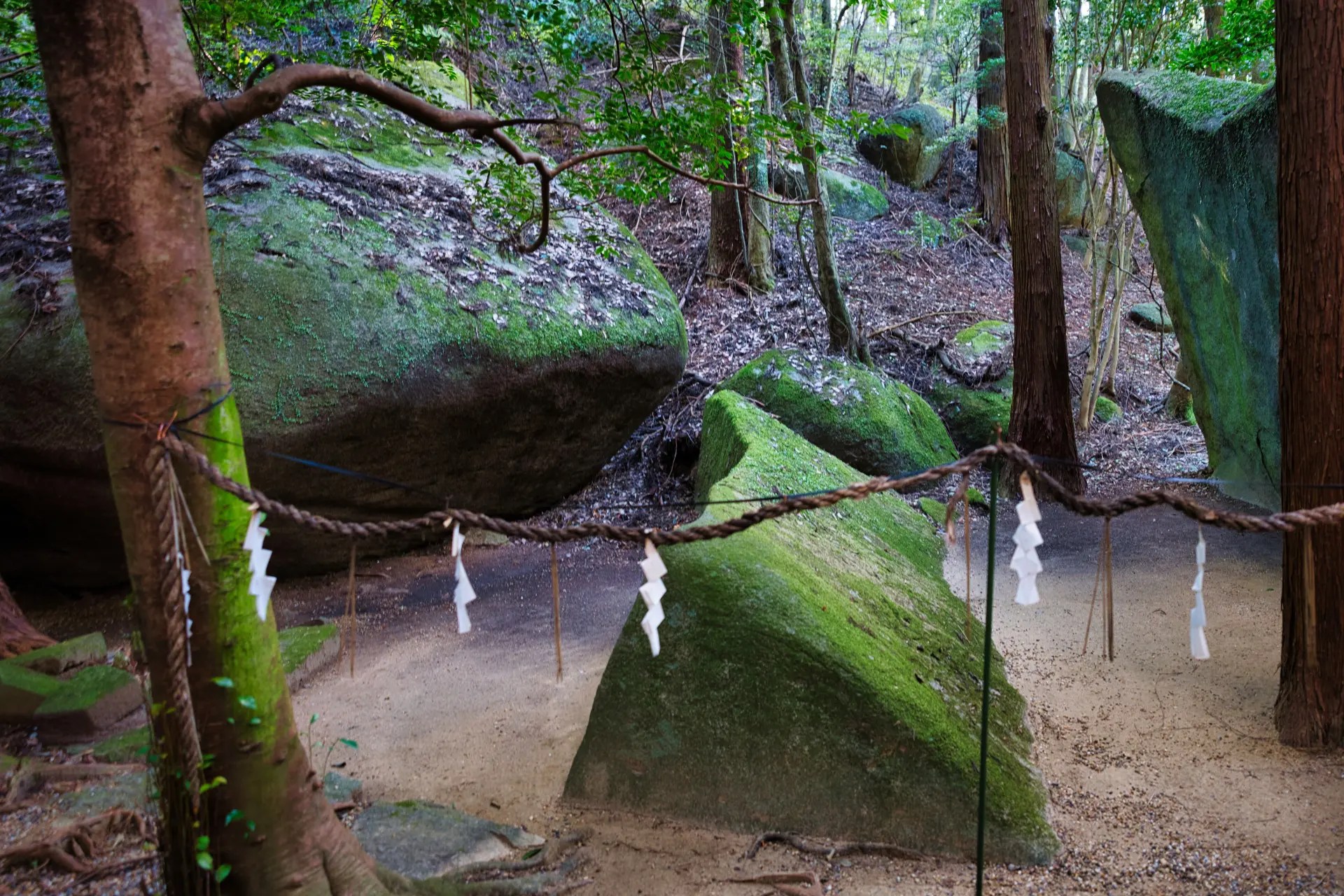 NA012804.jpg?fit=1920,1280&ssl=1