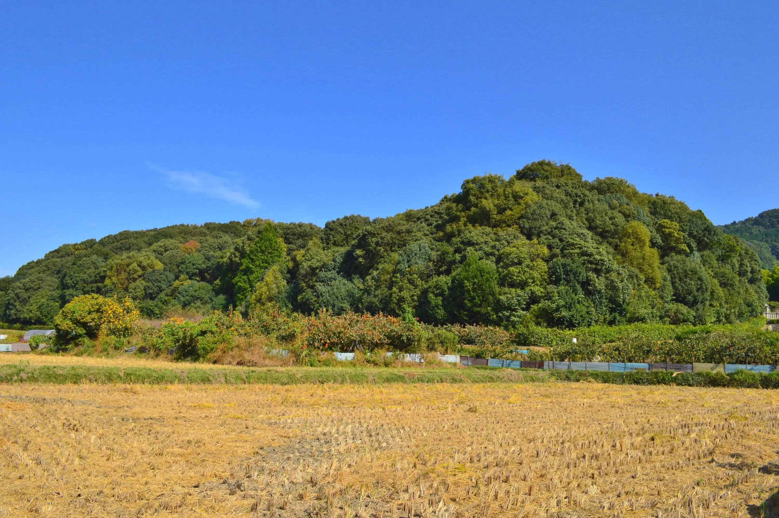 メスリ山古墳 | ニッポン旅マガジン