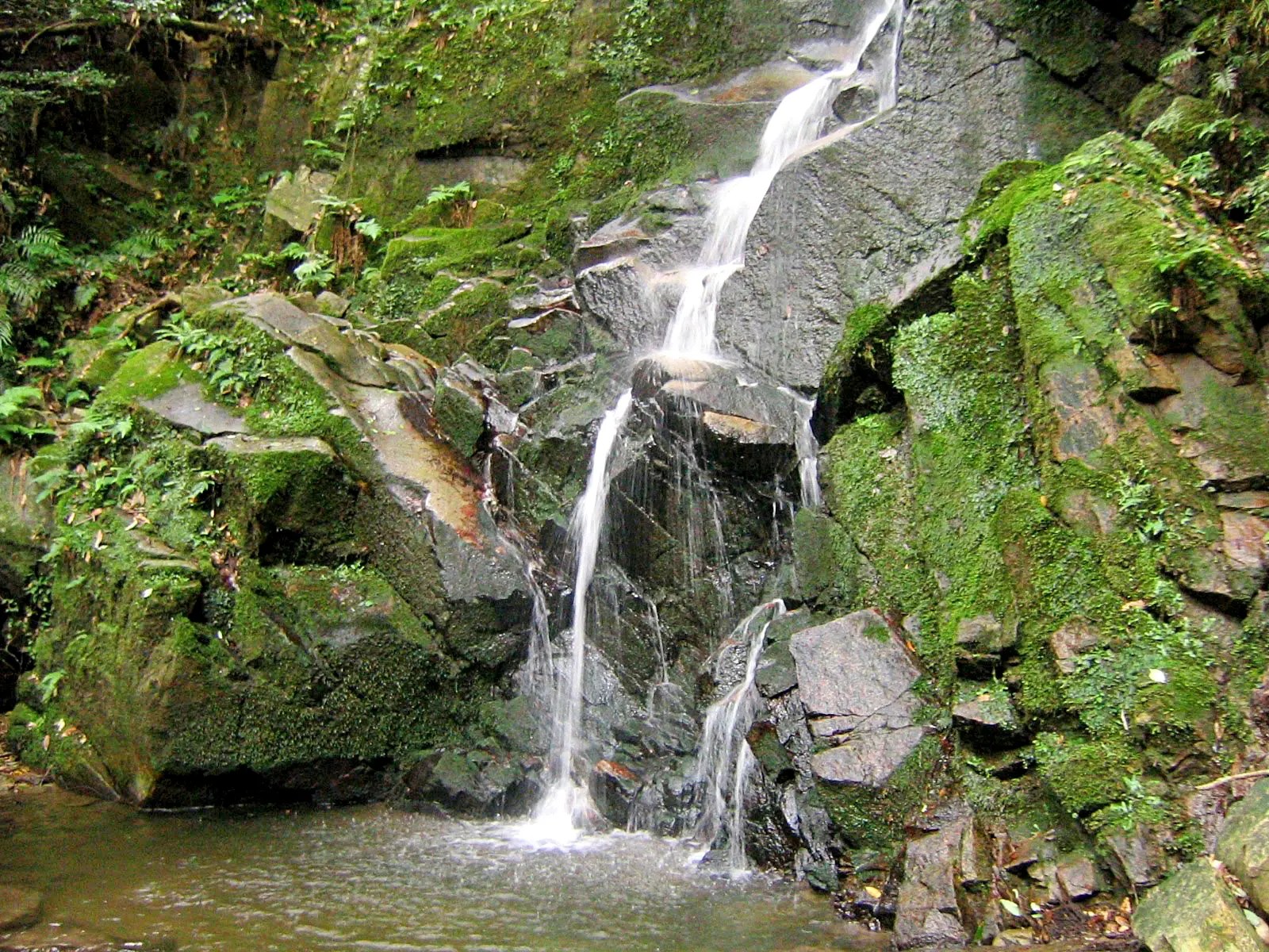 鶯の滝 | ニッポン旅マガジン