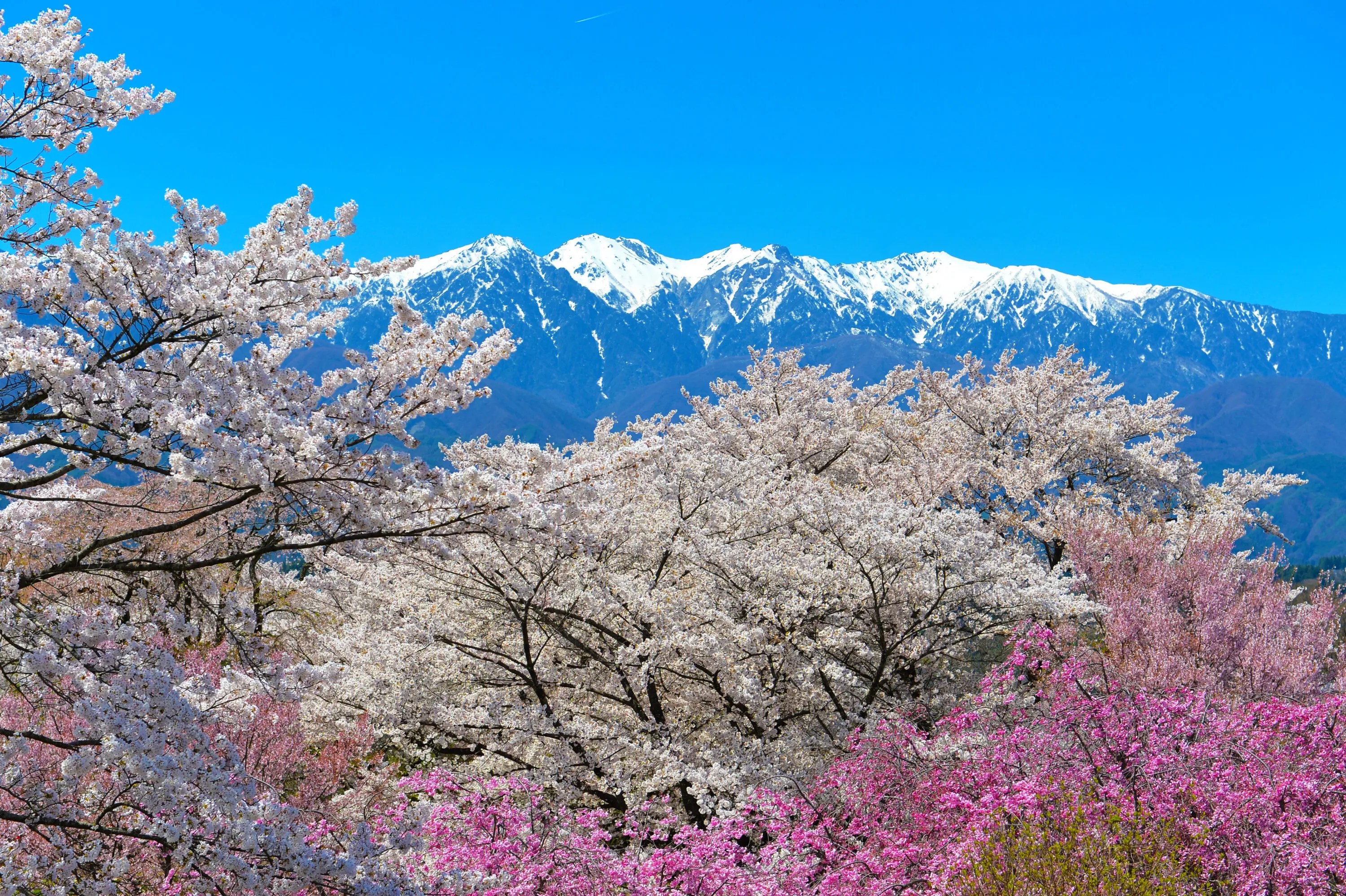 NN77501.jpg?resize=300,200&ssl=1