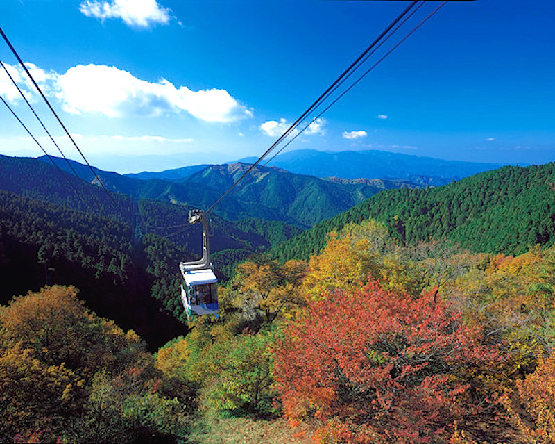 OS014601.jpg?fit=800,639&ssl=1