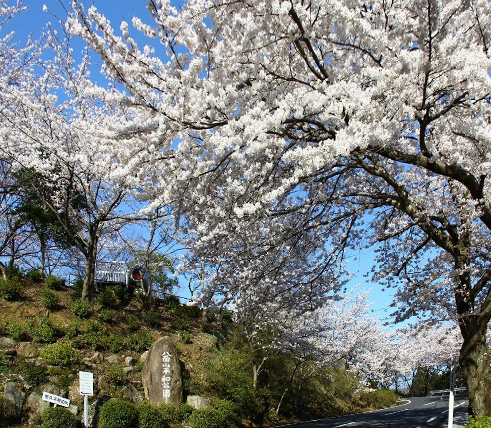 八面山 | ニッポン旅マガジン