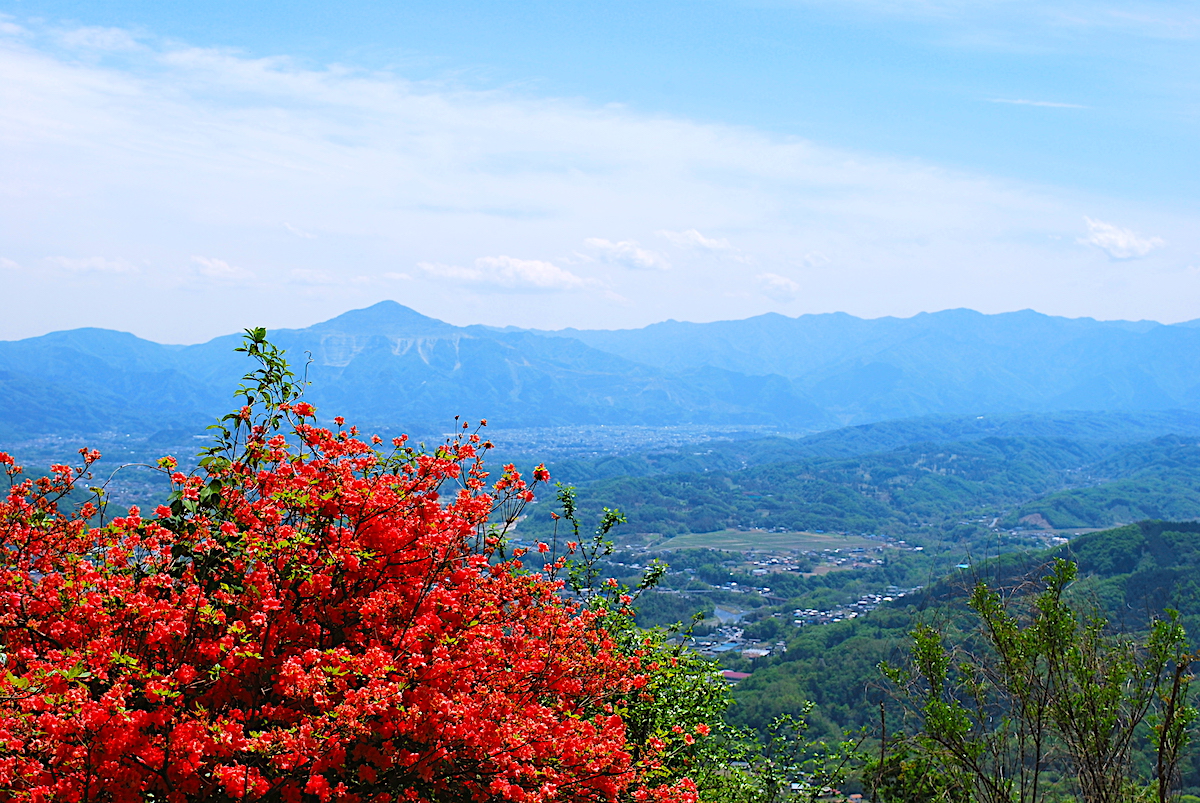 SA013001.jpg?fit=1200,803&ssl=1