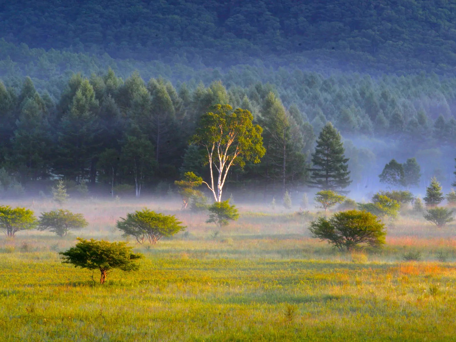 TG030601.jpg?fit=1600,1200&ssl=1