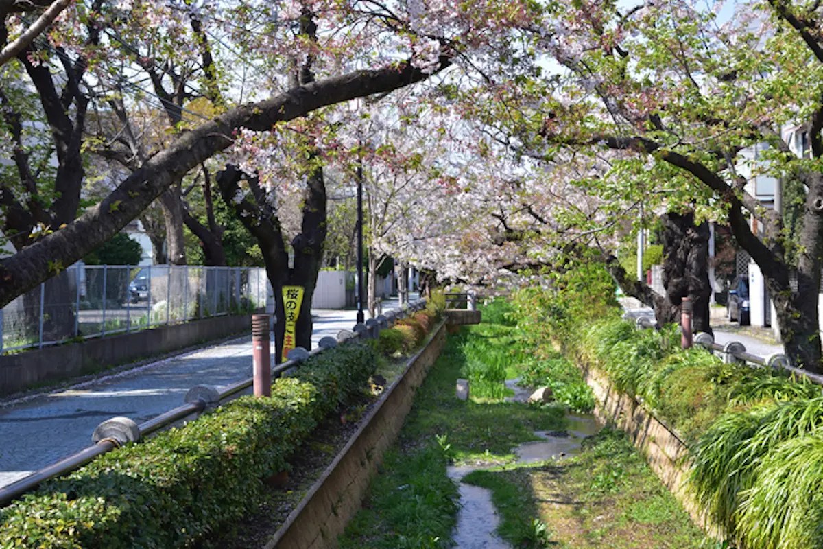 TK141202.jpg?fit=1200,800&ssl=1