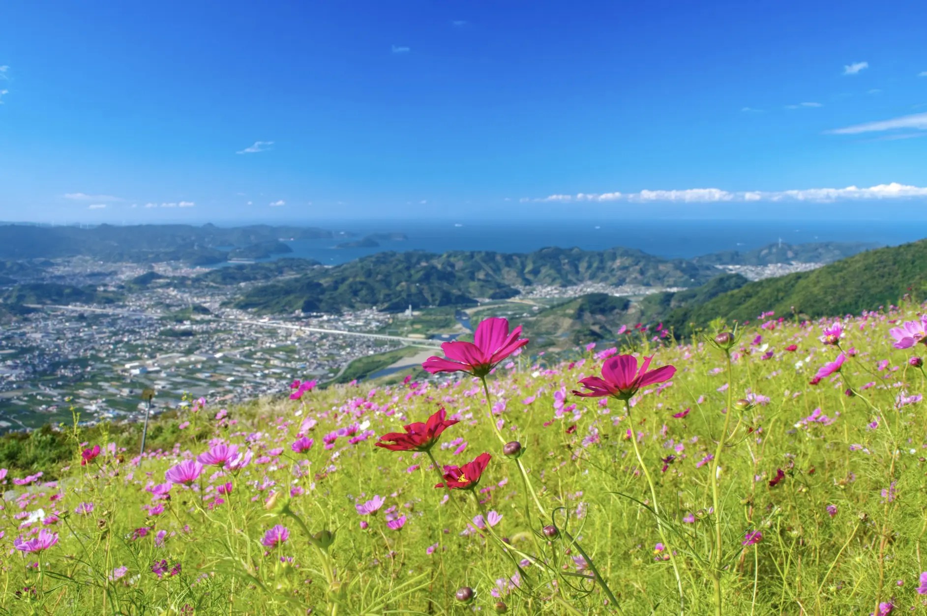 WA002401.jpg?fit=1885,1253&ssl=1