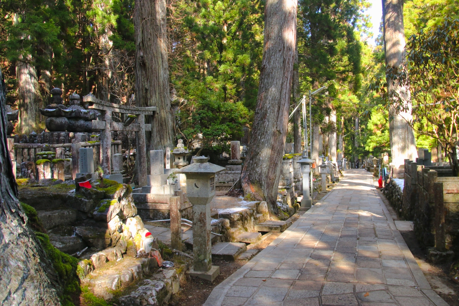 WA024401.jpg?fit=1600,1067&ssl=1