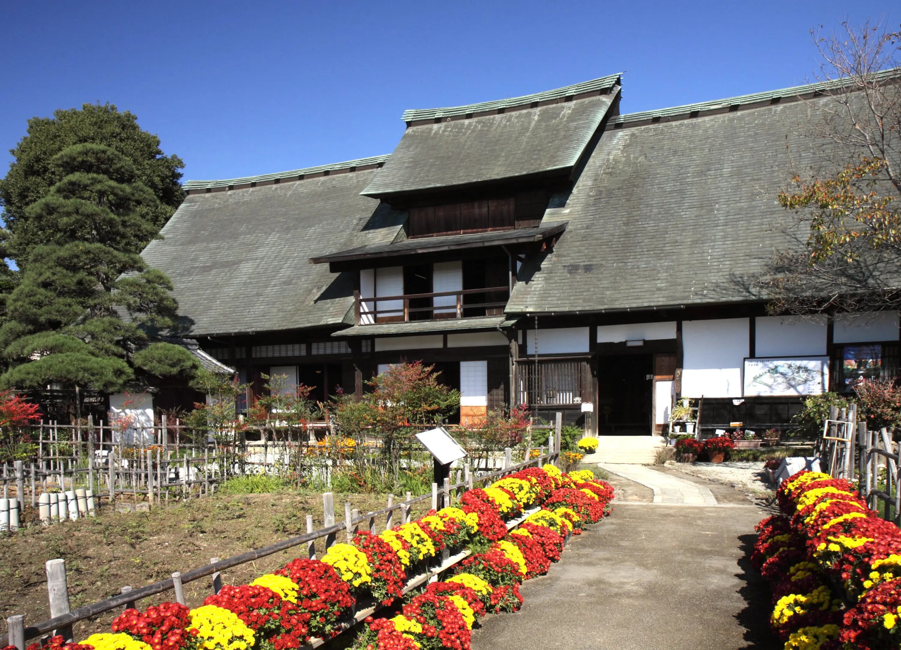 第24回甲州市えんざん桃源郷ひな飾りと桃の花まつり｜2026 | ニッポン