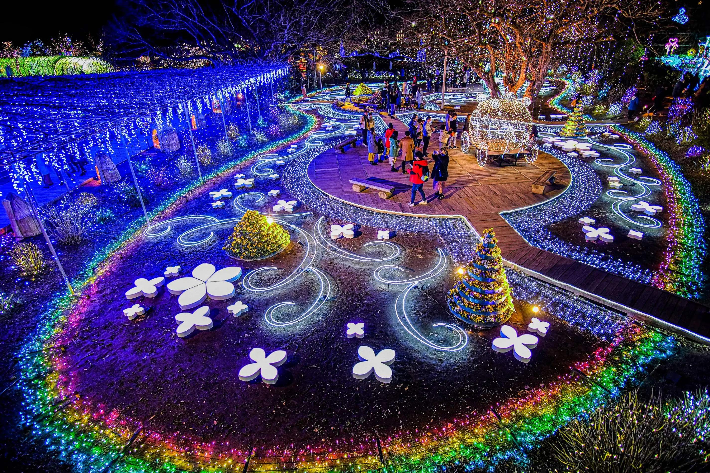あしかがフラワーパーク 光の花の庭 Flower Fantasy｜2025-2026