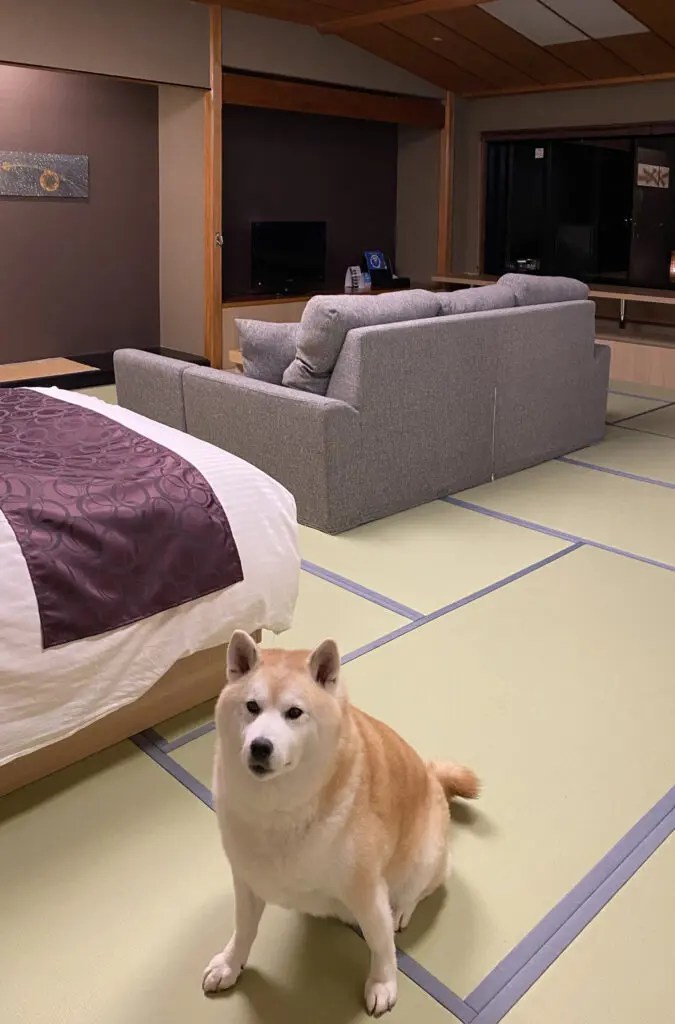 湯快わんわんリゾート 矢田屋松濤園