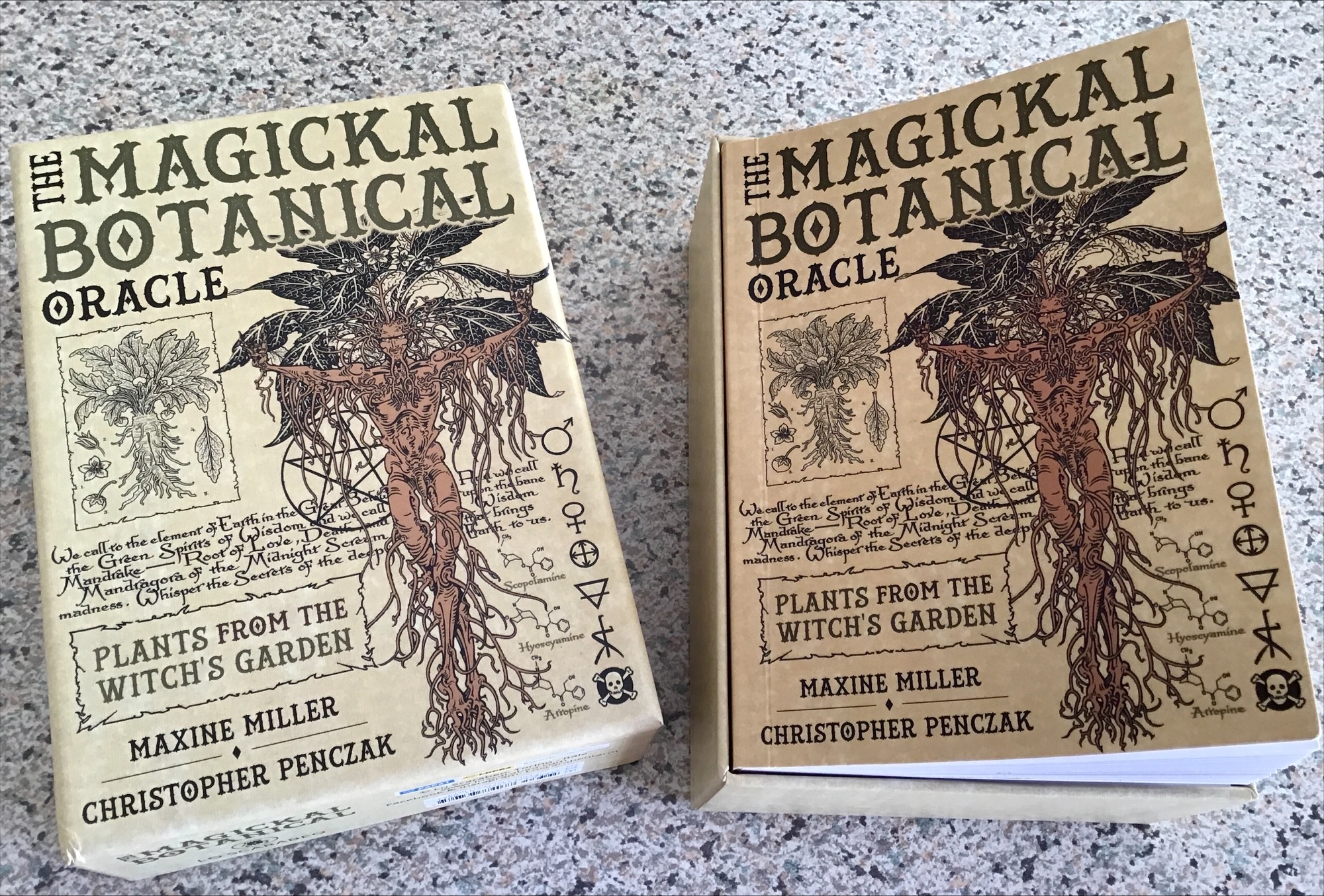 Review The Magickal Botanical Oracle TABI