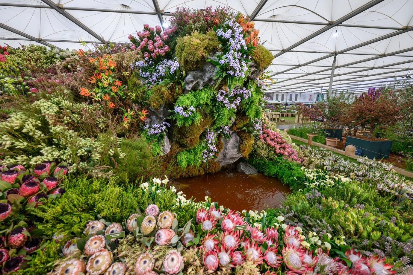 STanford in Bloom 2025