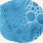 structure-brush-3