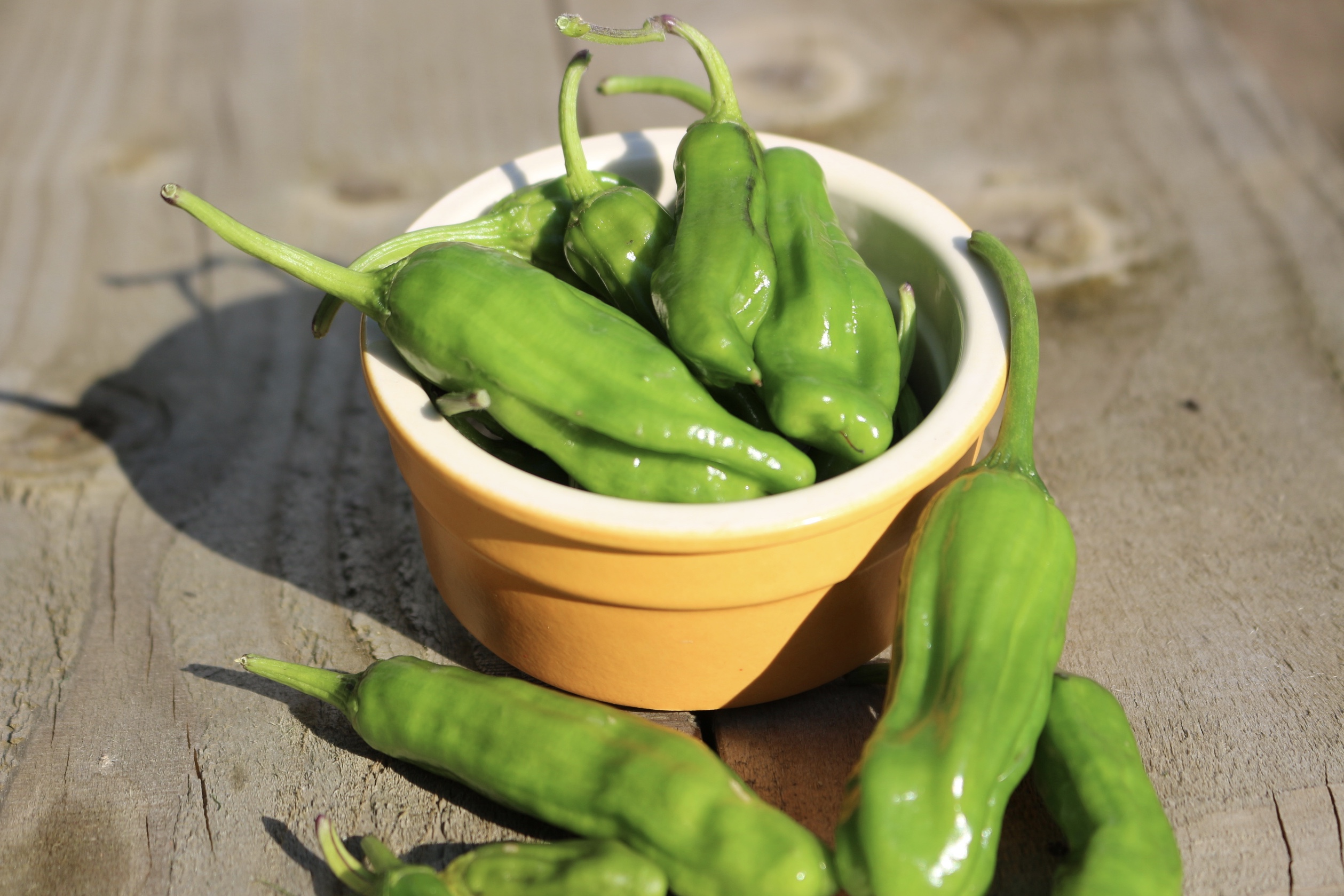 pics Padron Peppers Seeds Uk peppers shishito tabula rasa